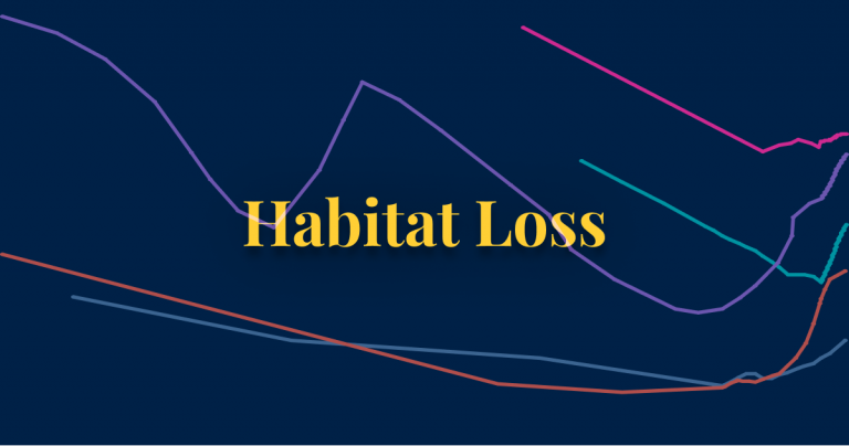 Habitat loss thumbnail