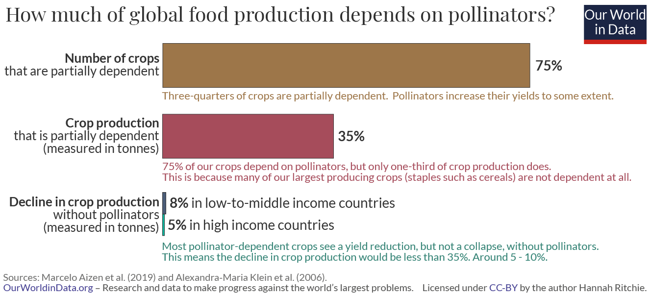 Global food dependency on pollinators