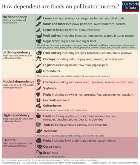 Pollinator dependence