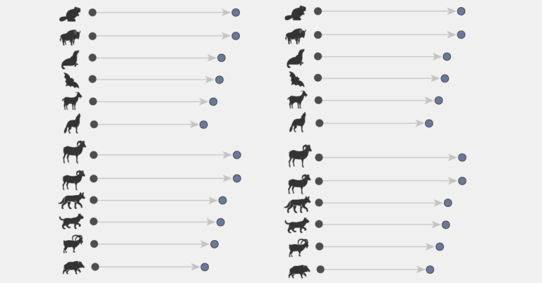 European mammals thumbnail